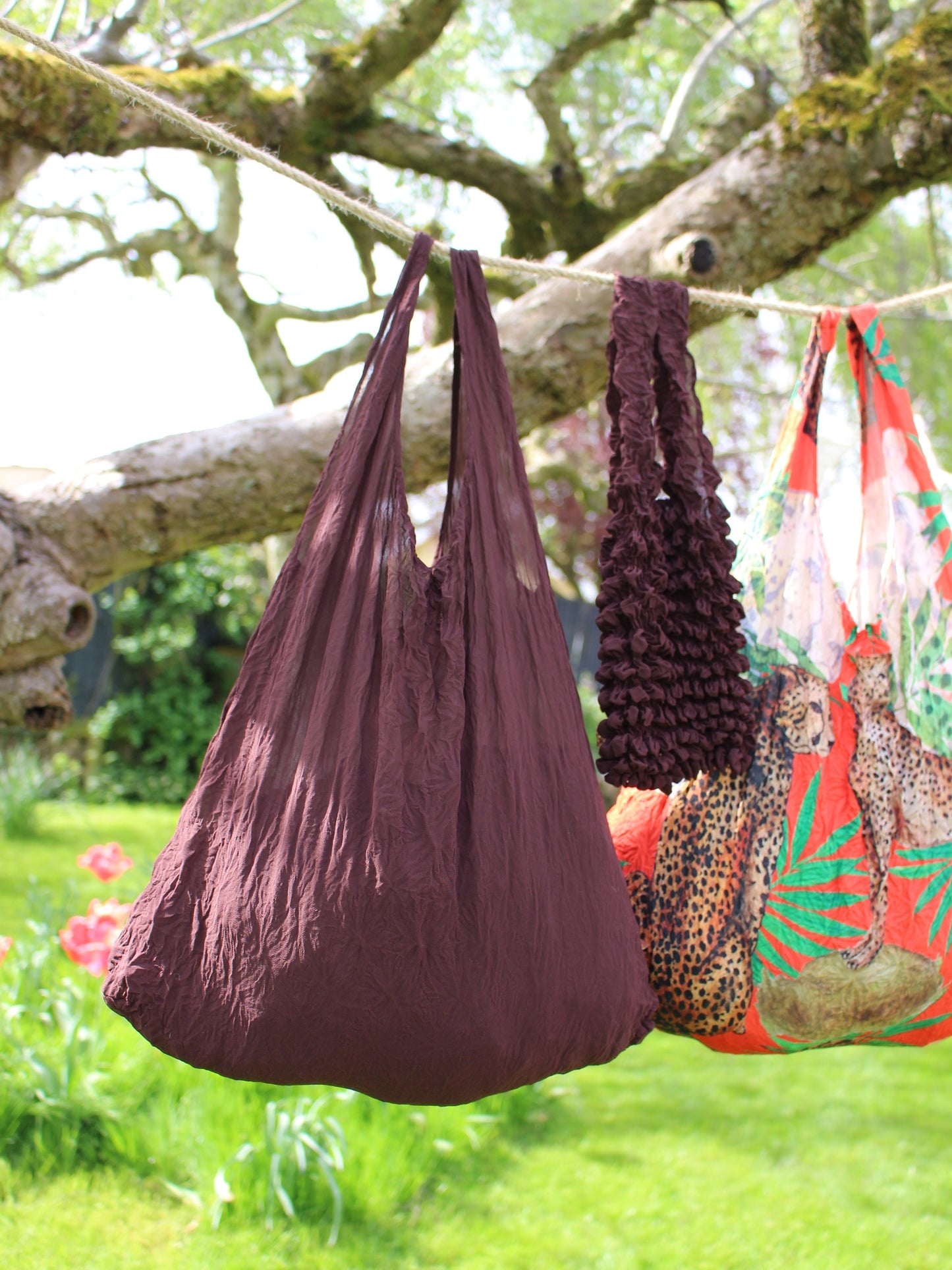 Chocolate Brown image 3